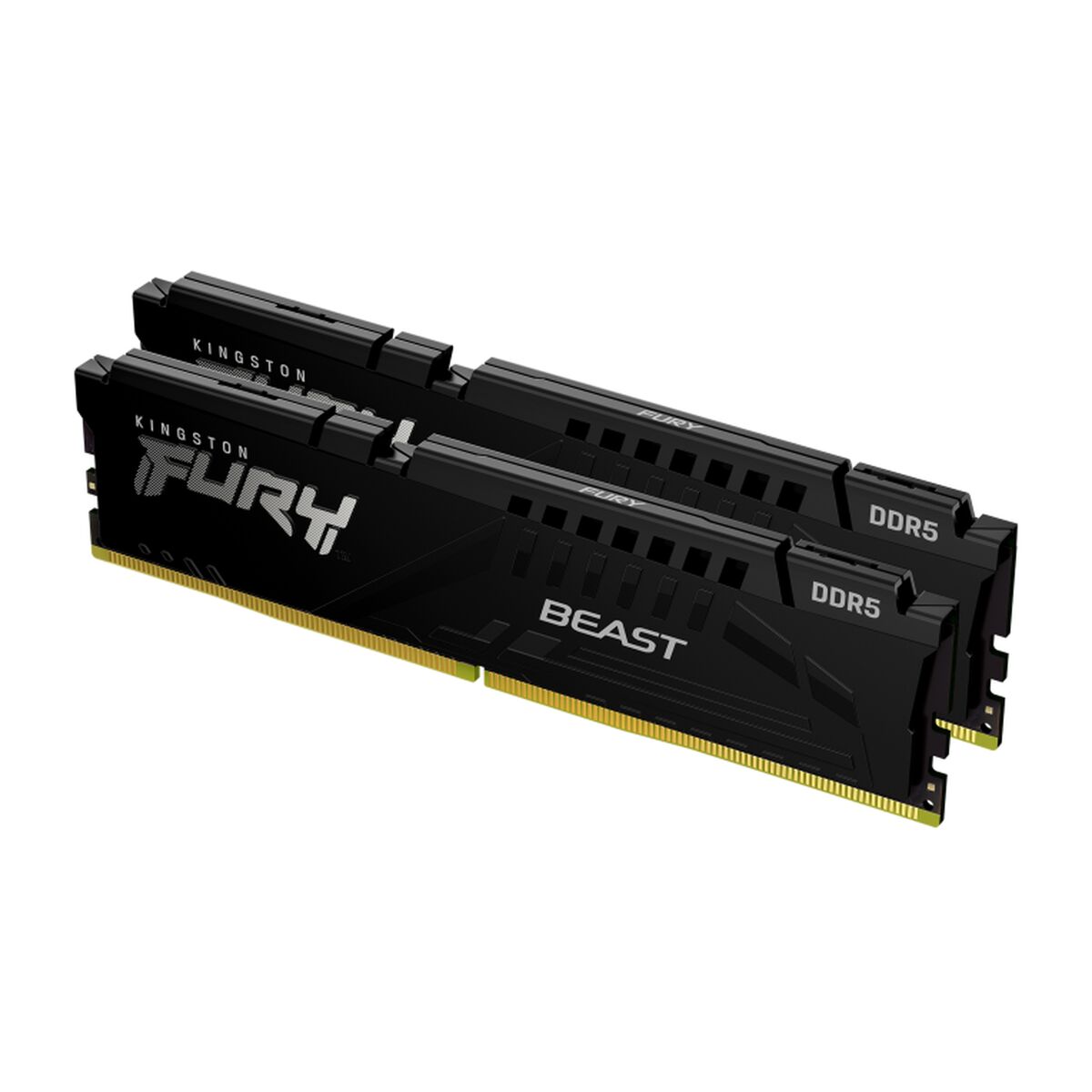 RAM Memory Kingston Beast 2 x 32 GB
